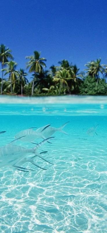 PeelitStickit, Beautiful Nature Wall Murals, ID-173, vinyl