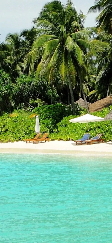 PeelitStickit, Beautiful Nature Wall Murals, ID-174, vinyl