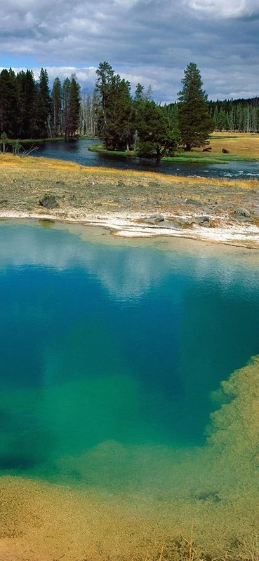 PeelitStickit, Beautiful Nature Wall Murals, ID-0177, vinyl