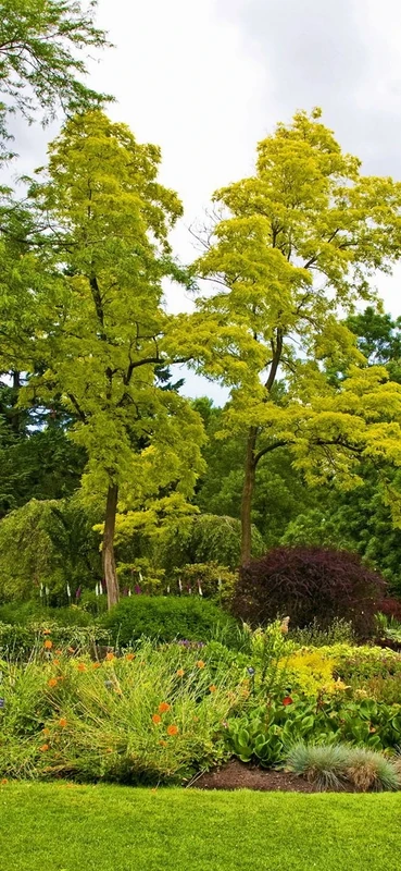 PeelitStickit, Beautiful Nature Wall Murals, ID-179, vinyl