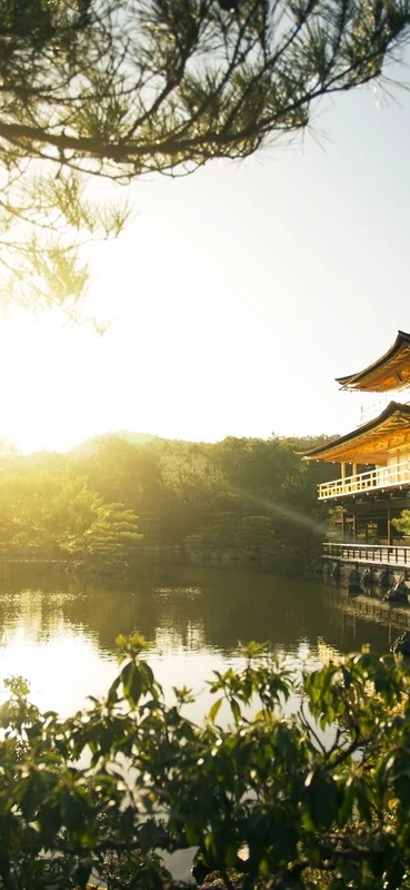 PeelitStickit, Beautiful Nature Wall Murals, ID-182, vinyl