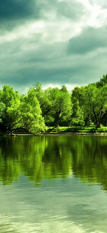 PeelitStickit, Beautiful Nature Wall Murals, ID-185, vinyl