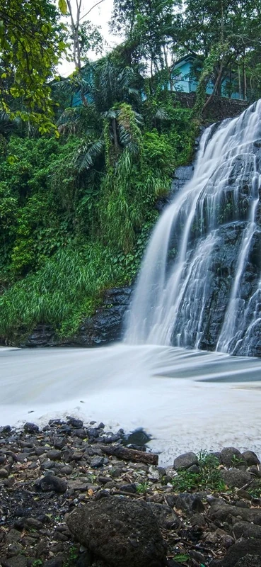 PeelitStickit, Beautiful Nature Wall Murals, ID-190, vinyl