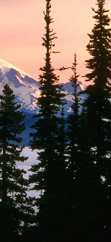 PeelitStickit, Beautiful Nature Wall Murals, ID-0192, vinyl