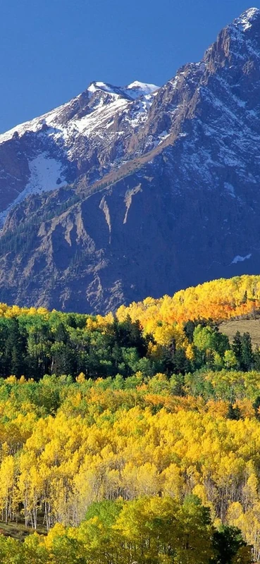 PeelitStickit, Beautiful Nature Wall Murals, ID-0194, vinyl