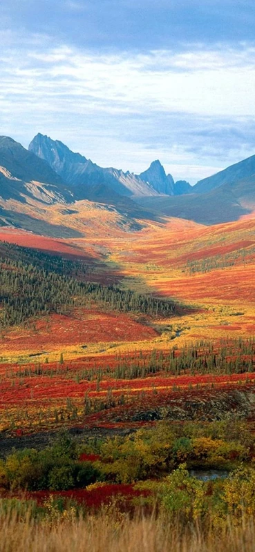 PeelitStickit ID-0196 60 Width x 130 cm Height Beautiful Nature Vinyl Wall Mural