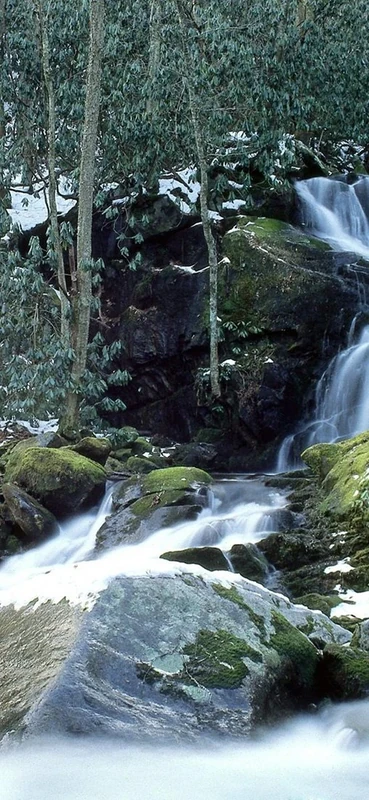 PeelitStickit, Beautiful Nature Wall Murals, ID-0201, vinyl