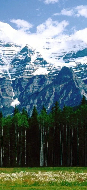 PeelitStickit, Beautiful Nature Wall Murals, ID-0202, vinyl