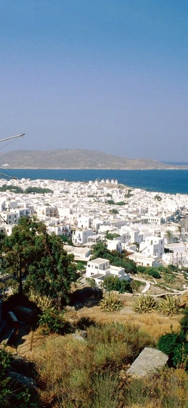 PeelitStickit ID-0206 60 Width x 130 cm Height Beautiful Nature Vinyl Wall Mural