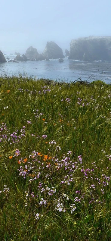 PeelitStickit, Beautiful Nature Wall Murals, ID-207, vinyl