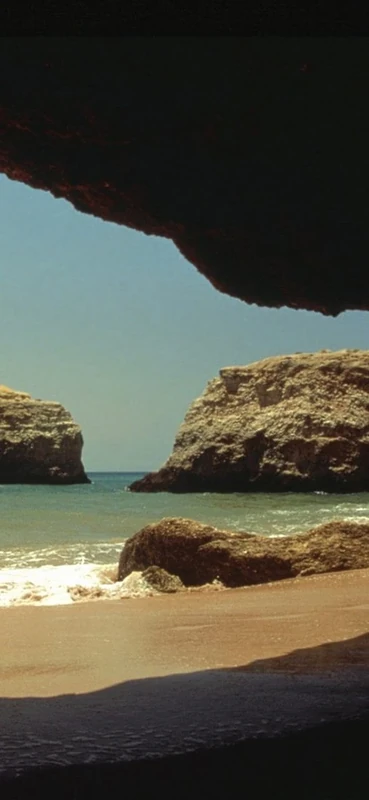 PeelitStickit, Beautiful Nature Wall Murals, ID-0210, vinyl