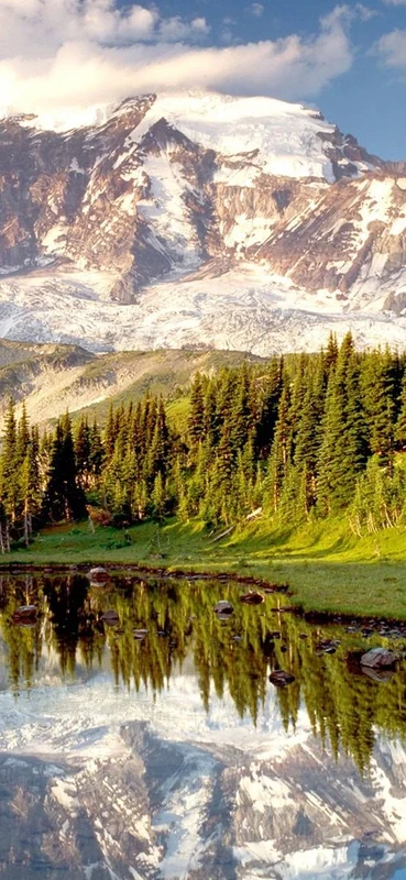 PeelitStickit, Beautiful Nature Wall Murals, ID-0208, vinyl