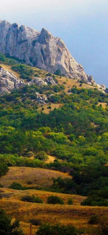 PeelitStickit, Beautiful Nature Wall Murals, ID-215, vinyl