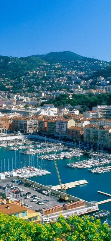 PeelitStickit, Beautiful Nature Wall Murals, ID-0221, vinyl