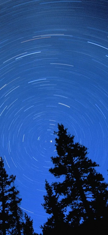 PeelitStickit, Beautiful Nature Wall Murals, ID-0223, vinyl