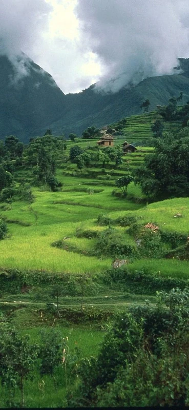 PeelitStickit, Beautiful Nature Wall Murals, ID-0228, vinyl