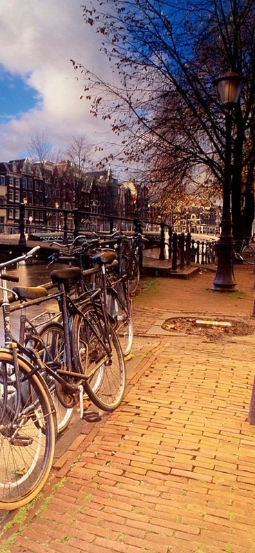 PeelitStickit, Beautiful Nature Wall Murals, ID-0226, vinyl