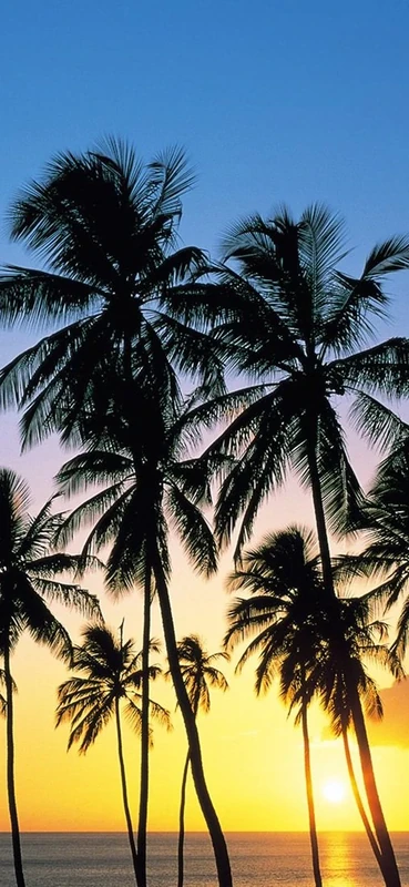 PeelitStickit, Beautiful Nature Wall Murals, ID-0240, vinyl