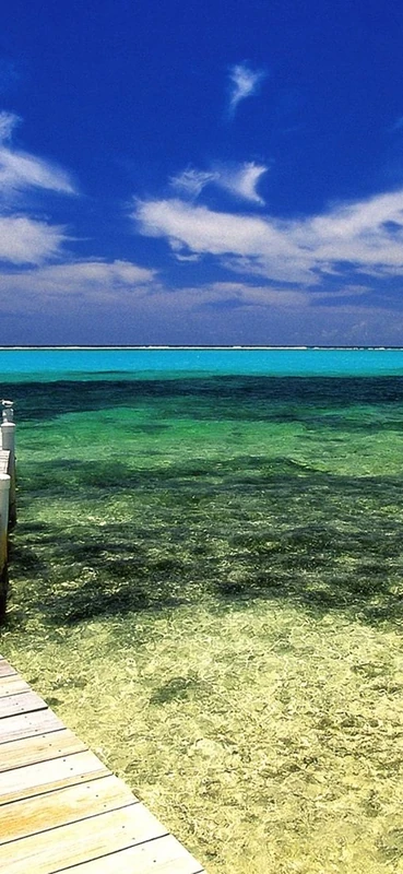 PeelitStickit, Beautiful Nature Wall Murals, ID-0244, vinyl