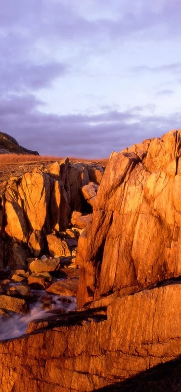 PeelitStickit, Beautiful Nature Wall Murals, ID-0254, vinyl