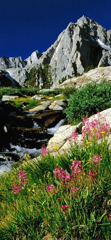 PeelitStickit, Beautiful Nature Wall Murals, ID-0263, vinyl