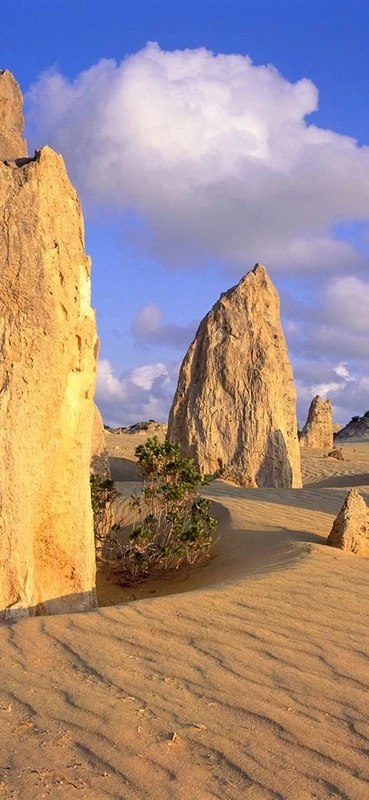 PeelitStickit, Beautiful Nature Wall Murals, ID-0266, vinyl