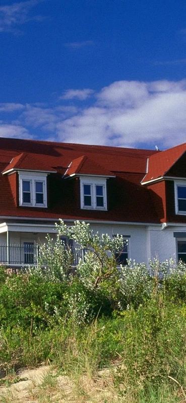 PeelitStickit, Beautiful Nature Wall Murals, ID-0274, vinyl