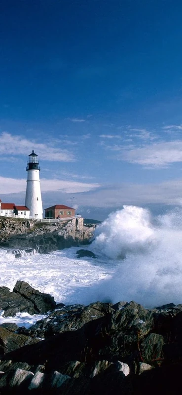 PeelitStickit, Beautiful Nature Wall Murals, ID-0280, vinyl