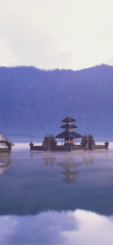 PeelitStickit, Beautiful Nature Wall Murals, ID-0289, vinyl