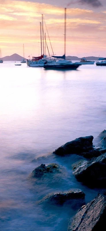 PeelitStickit, Beautiful Nature Wall Murals, ID-0296, vinyl