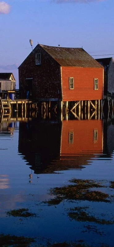 PeelitStickit, Beautiful Nature Wall Murals, ID-0307, vinyl