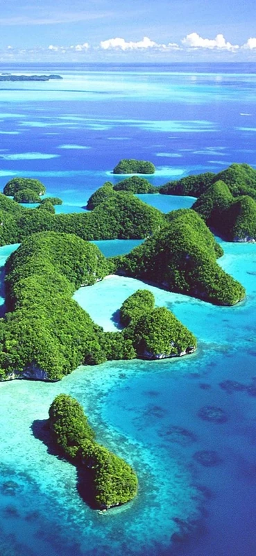 PeelitStickit, Beautiful Nature Wall Murals, ID-0312, vinyl