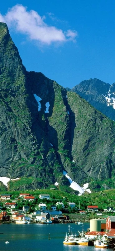 PeelitStickit, Beautiful Nature Wall Murals, ID-0310, vinyl