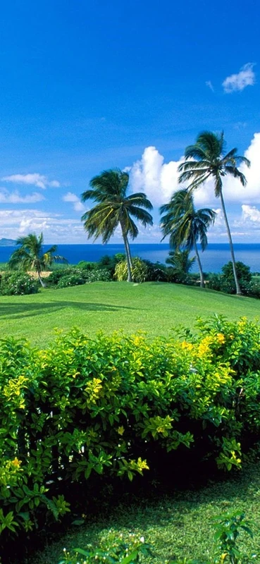 PeelitStickit, Beautiful Nature Wall Murals, ID-0334, vinyl