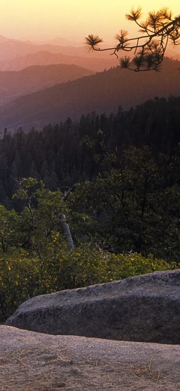 PeelitStickit, Beautiful Nature Wall Murals, ID-0342, vinyl