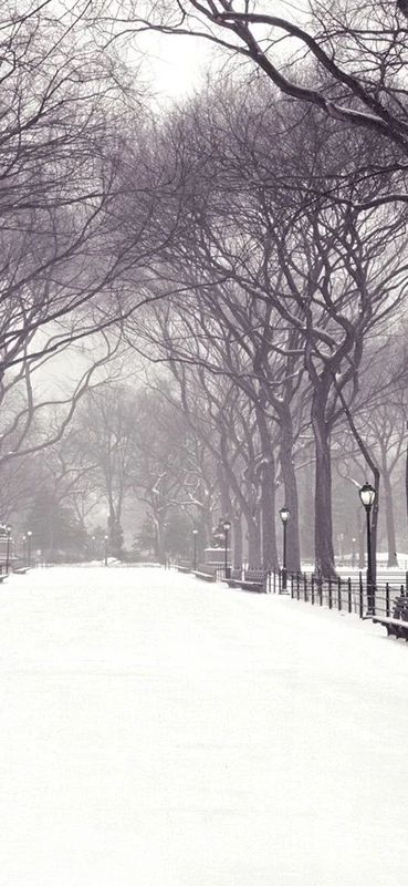 PeelitStickit, Beautiful Nature Wall Murals, ID-0348, vinyl