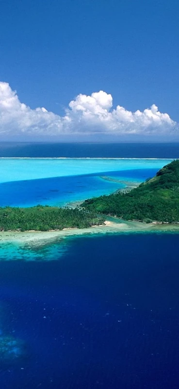 PeelitStickit, Beautiful Nature Wall Murals, ID-0349, vinyl