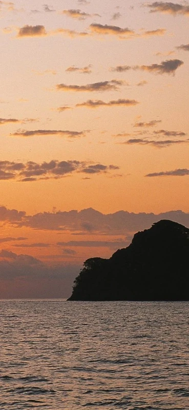 PeelitStickit, Beautiful Nature Wall Murals, ID-0350, vinyl