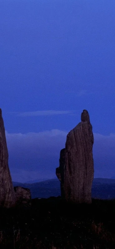 PeelitStickit, Beautiful Nature Wall Murals, ID-0357, vinyl