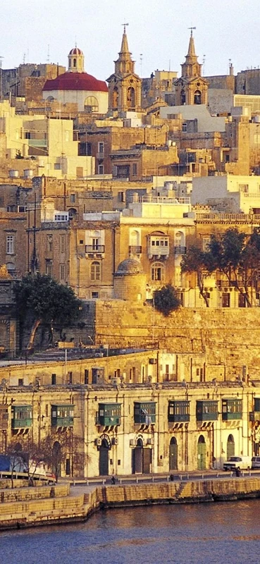 PeelitStickit, Beautiful Nature Wall Murals, ID-0365, vinyl