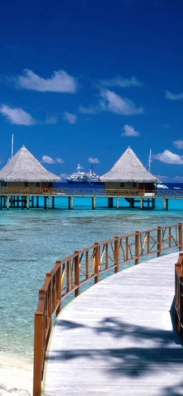 PeelitStickit, Beautiful Nature Wall Murals, ID-0369, vinyl