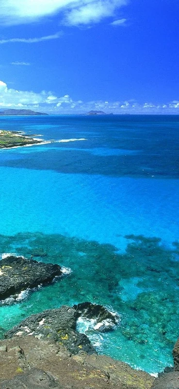 PeelitStickit, Beautiful Nature Wall Murals, ID-0368, vinyl