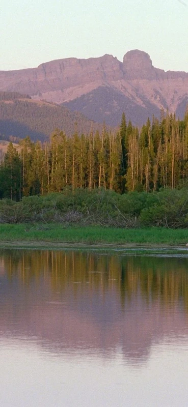 PeelitStickit, Beautiful Nature Wall Murals, ID-0373, vinyl