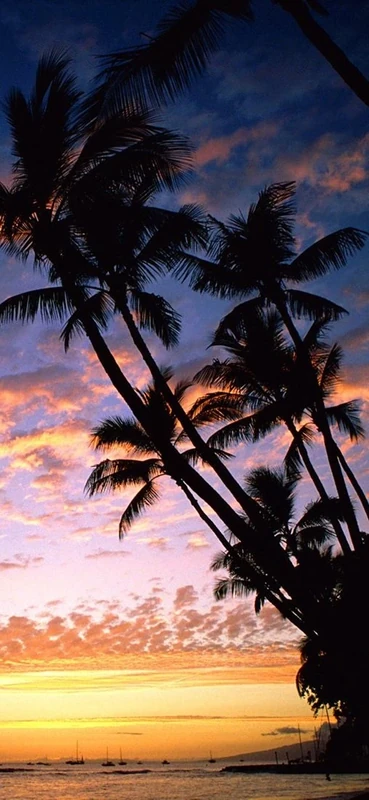 PeelitStickit, Beautiful Nature Wall Murals, ID-0377, vinyl