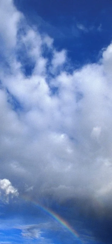 PeelitStickit, Beautiful Nature Wall Murals, ID-0380, vinyl