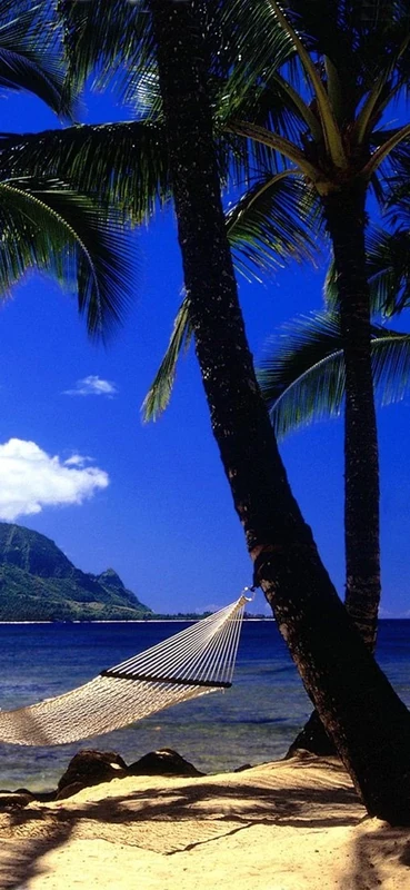 PeelitStickit, Beautiful Nature Wall Murals, ID-0378, vinyl