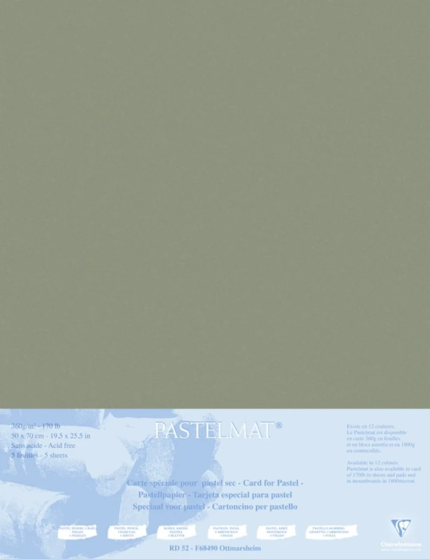 Clairefontaine - Ref 496011C - Pastelmat Mounted Board (5 Sheets) - 1800 Microns - 50 x 70cm - Brown Colour - Specially Formulated For Use With Pastels