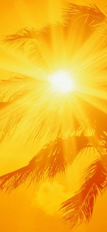 PeelitStickit, Beautiful Nature Wall Murals, ID-0385, vinyl