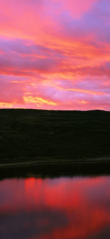 PeelitStickit, Beautiful Nature Wall Murals, ID-0387, vinyl