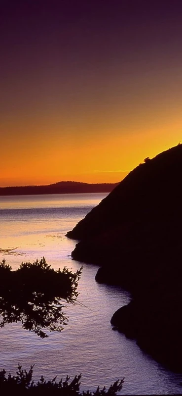 PeelitStickit, Beautiful Nature Wall Murals, ID-0400, vinyl